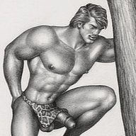 Tom of Finland drawing depicting a male semi-nude kneeling on a tree bough.