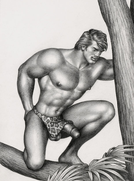Tom of Finland original drawing depicting a male semi-nude kneeling on a tree bough.